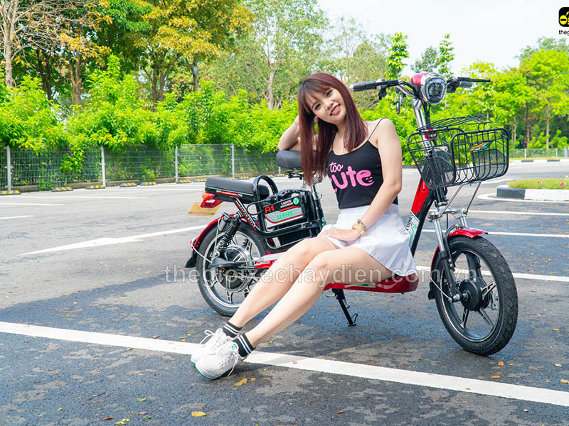Phụ tùng xe đạp điện Alpha Bình Dương