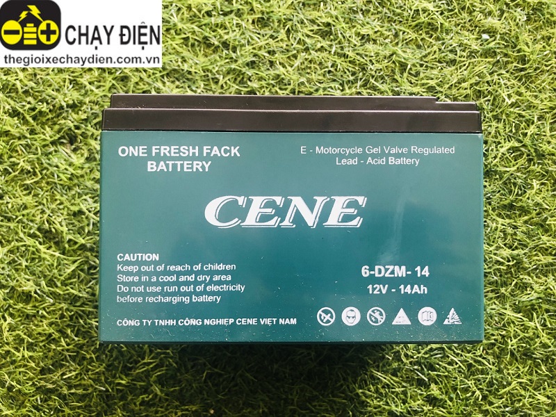 Ắc quy xe đạp điện 12v-12a Cene