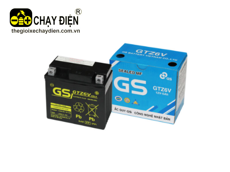 Ắc quy GS GTZ 6V (12V-5ah)