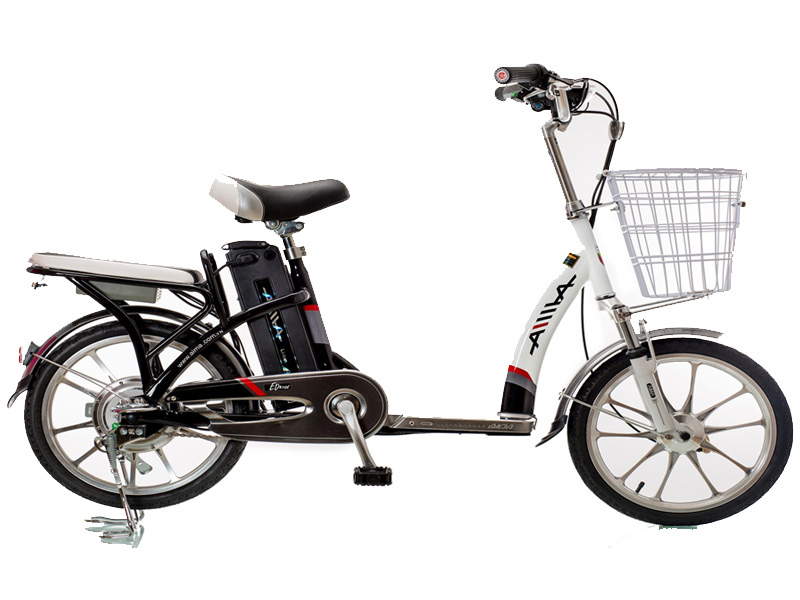 Ắc quy xe đạp điện Aima Chánh Mỹ chính hãng