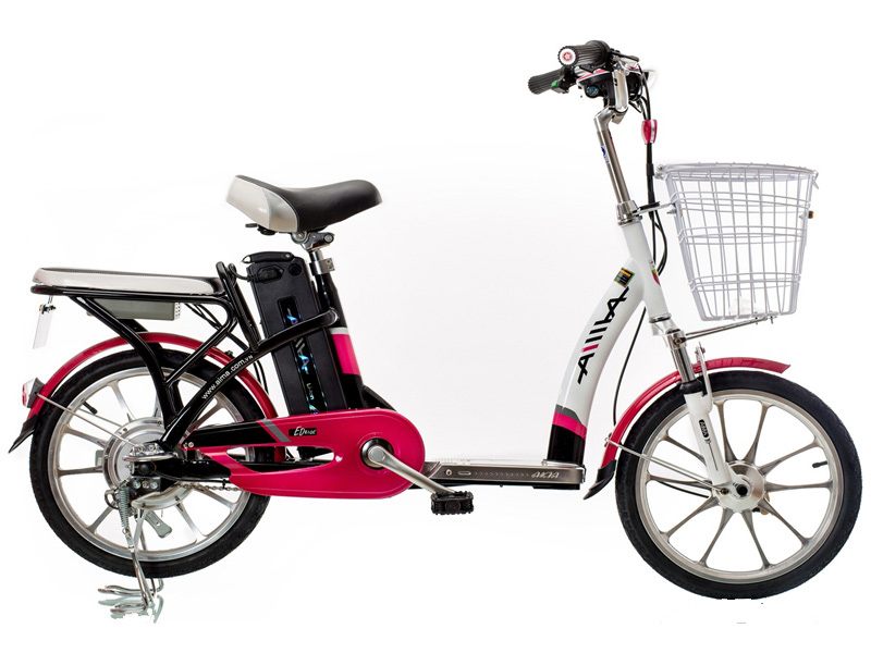 Ắc quy xe đạp điện Aima Phú Lợi chính hãng
