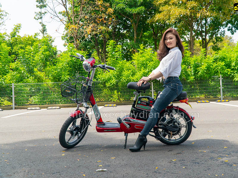 Ắc quy xe đạp điện Alpha Bắc Kạn