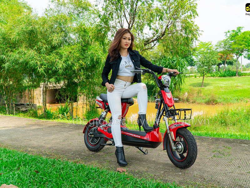 Ắc quy xe đạp điện Alpha Hà Nội