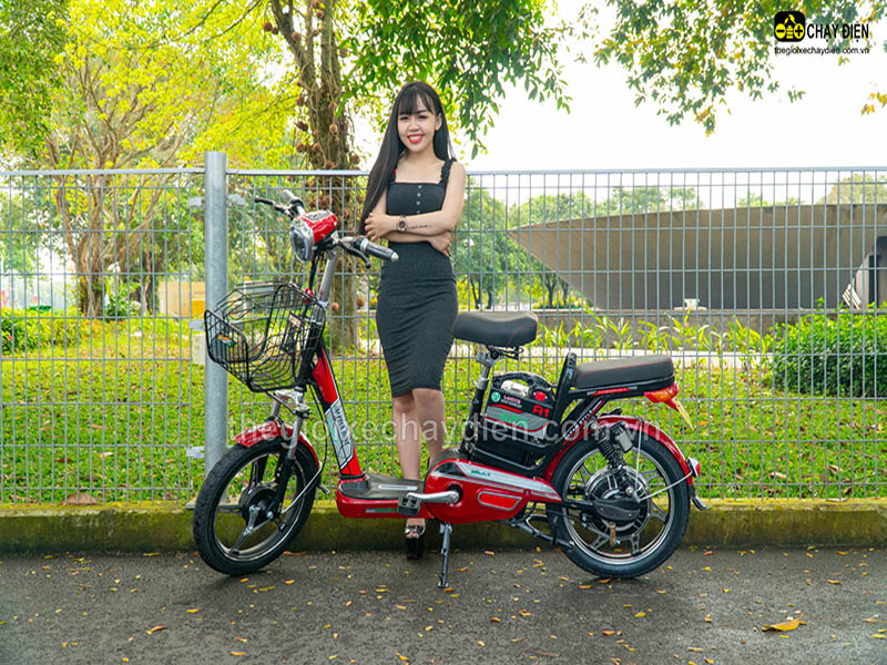 Ắc quy xe đạp điện Alpha Kon Tum
