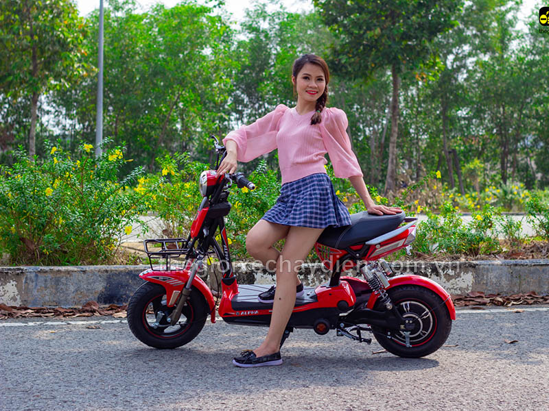 Ắc quy xe đạp điện Alpha Lâm Đồng