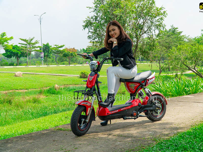 Ắc quy xe đạp điện Alpha Sài Gòn