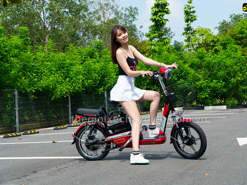 Ắc quy xe đạp điện Alpha Tây Hồ