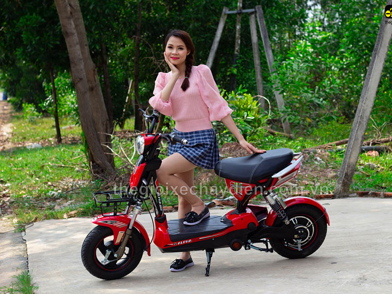 Ắc quy xe đạp điện Alpha Thái Bình
