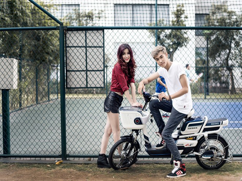 Ắc quy xe đạp điện Ambike Đồng Nai
