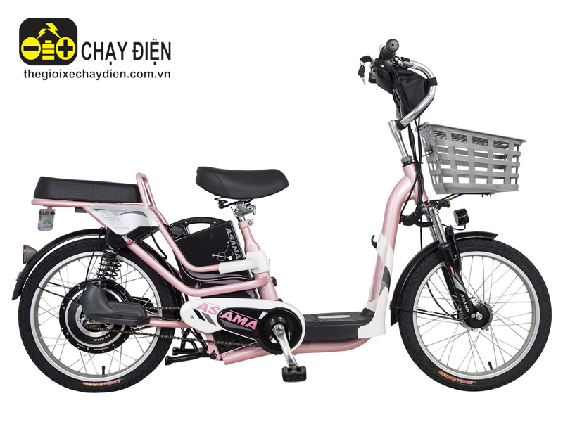 Ắc quy xe đạp điện Asama Hưng Yên