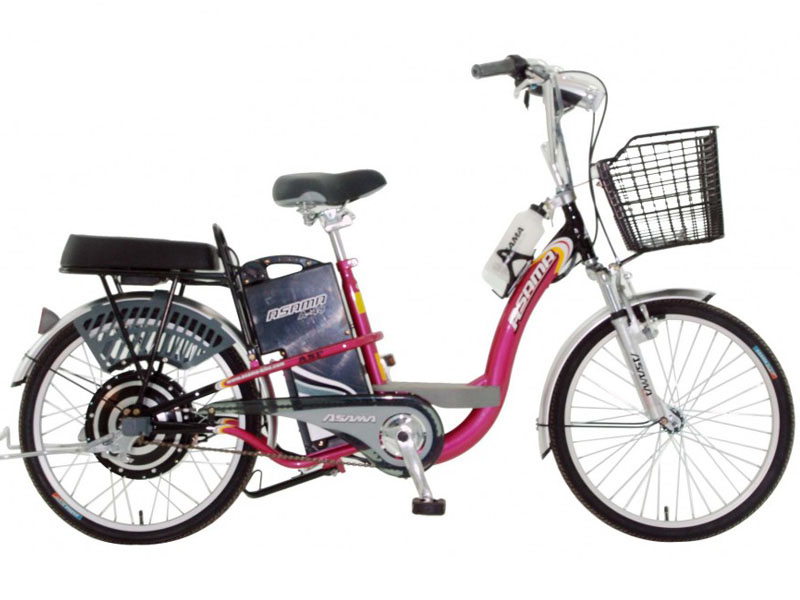 Ắc quy xe đạp điện Asama Ninh Thuận 