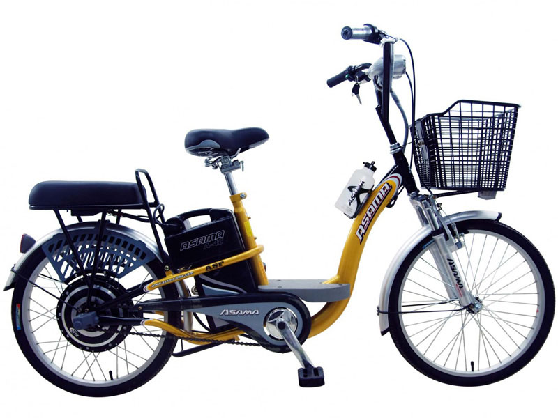 Ắc quy xe đạp điện Asama Quảng Trị