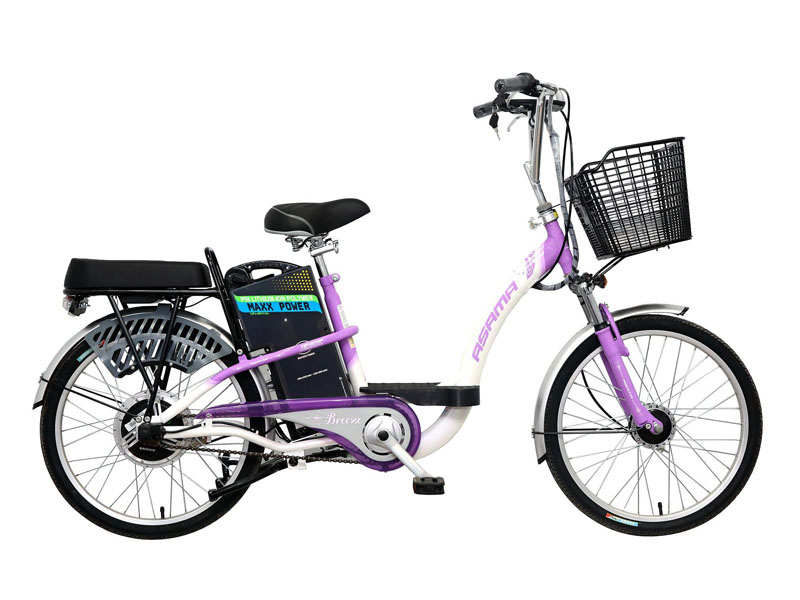 Ắc quy xe đạp điện Asama Sài Gòn