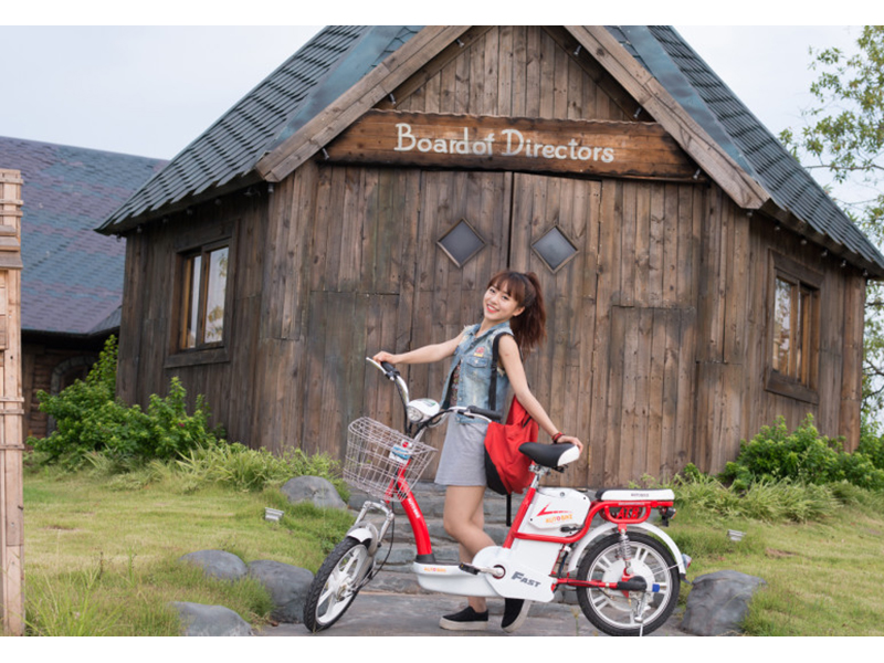 Ắc quy xe đạp điện Autobike Quảng Nam 