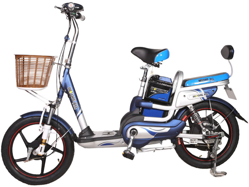 Ắc quy xe đạp điện Before All Bình Thuận