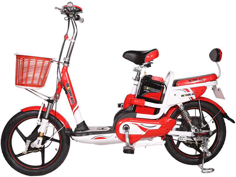 Ắc quy xe đạp điện Before All Vĩnh Phúc