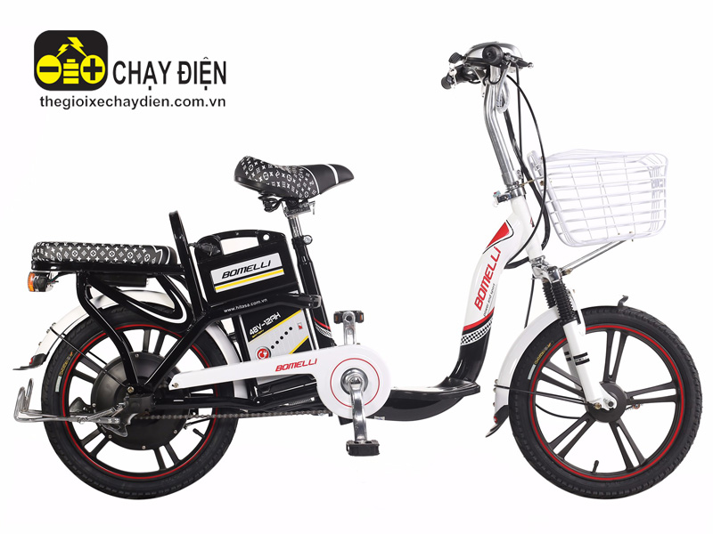 Ắc quy xe đạp điện Bomelli Hải Dương