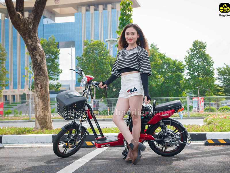Ắc quy xe đạp điện Đào Khôi Dkbike Đồng Nai