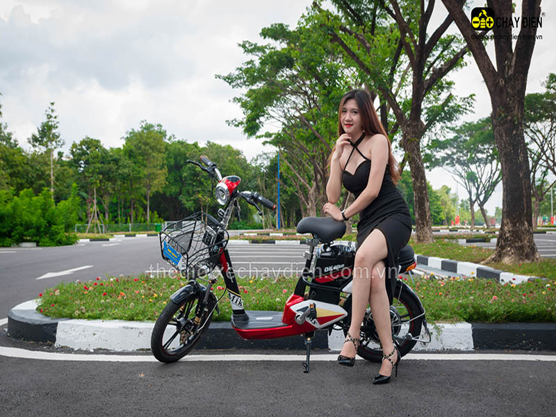 Ắc quy xe đạp điện Đào Khôi Dkbike Lái Thiêu