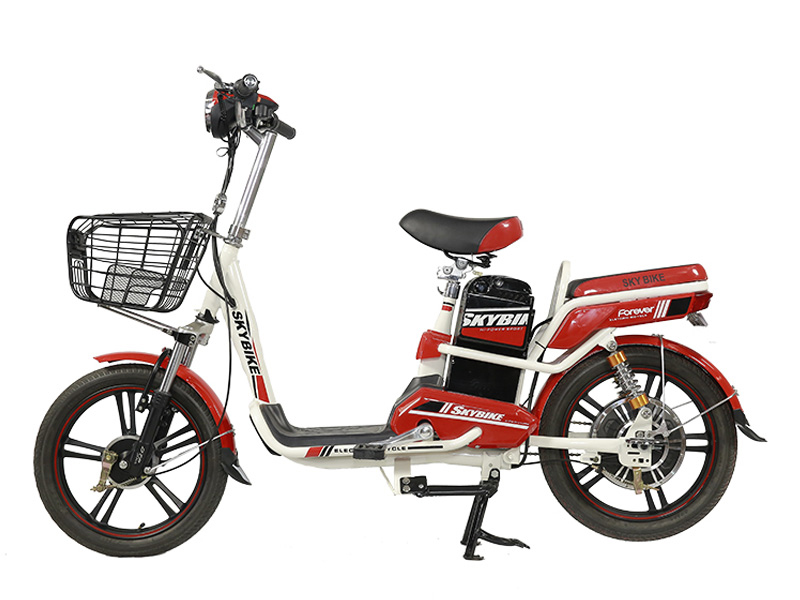 Ắc quy xe đạp điện DTP Gò Vấp