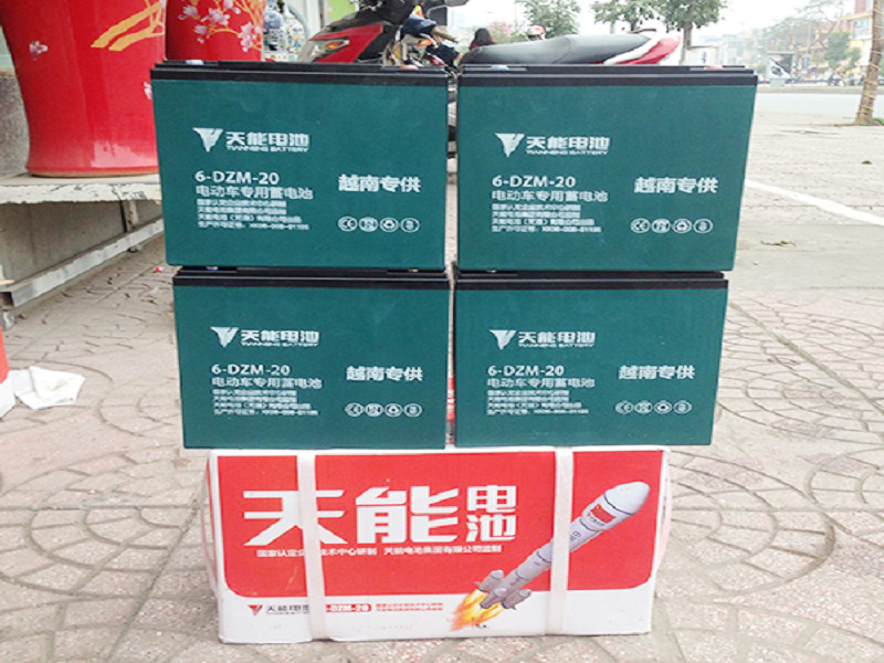 Ắc quy xe đạp điện DTP Vĩnh Phúc