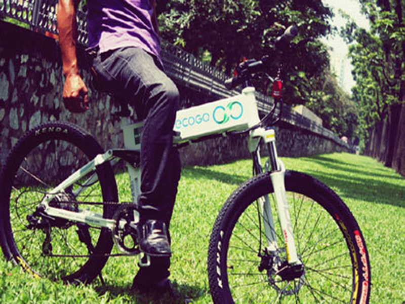 Ắc quy xe đạp điện Ecogo Gia Lai