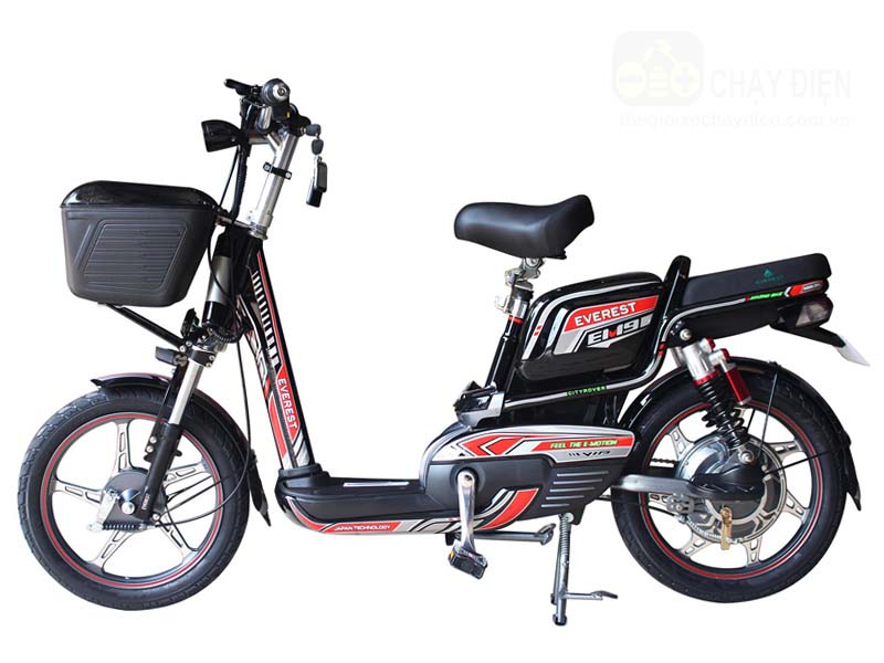 Ắc quy xe đạp điện Everest Bình Dương
