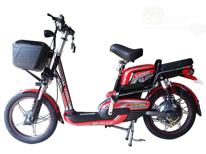 Ắc quy xe đạp điện Everest Tiền Giang