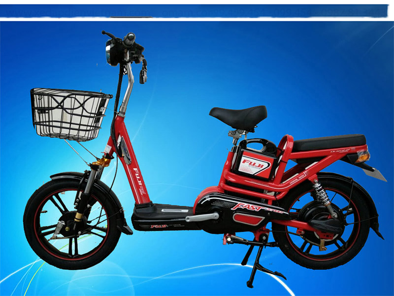Ắc quy xe đạp điện Fuji Kon Tum 