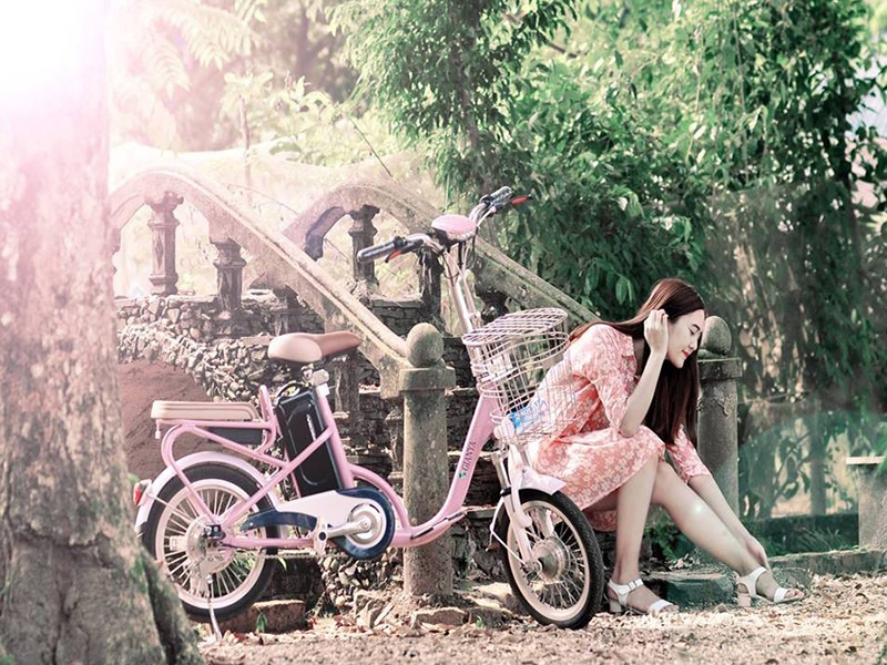 Ắc quy xe đạp điện Gianya An Giang
