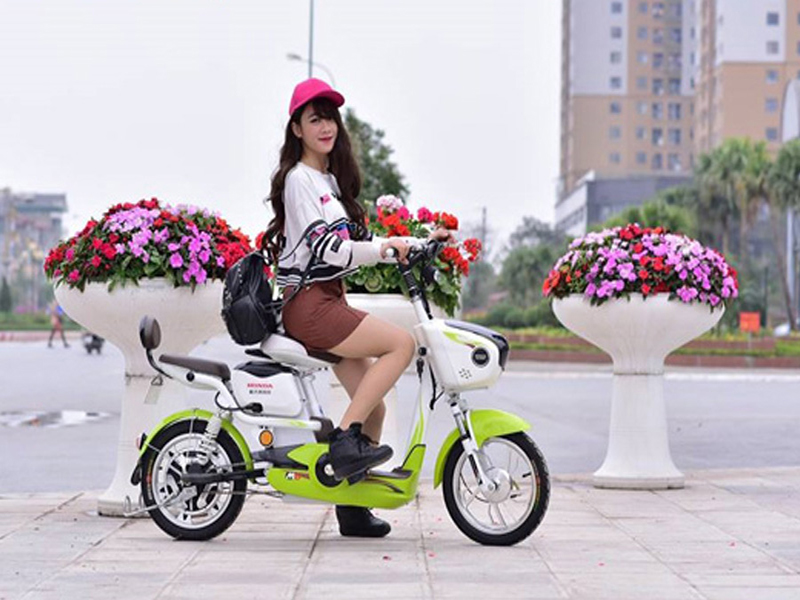 Ắc quy xe đạp điện Honda Hưng Yên 