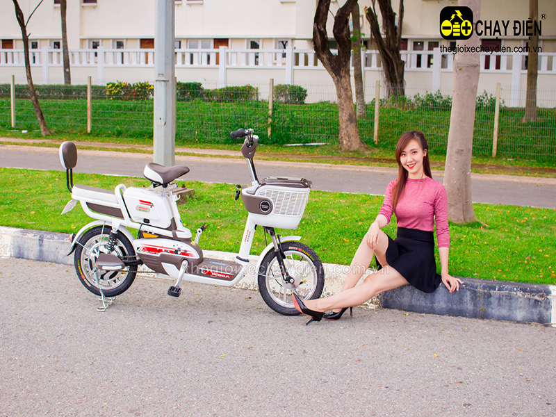 Ắc quy xe đạp điện Honda Kon Tum