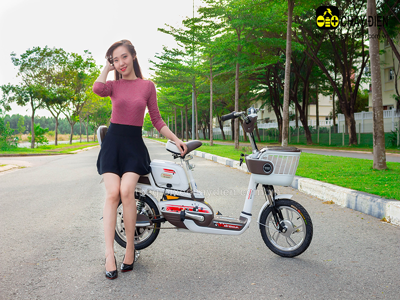 Ắc quy xe đạp điện Honda Quận 12