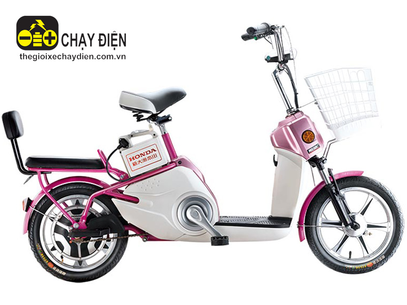 Ắc quy xe đạp điện Honda Tiền Giang