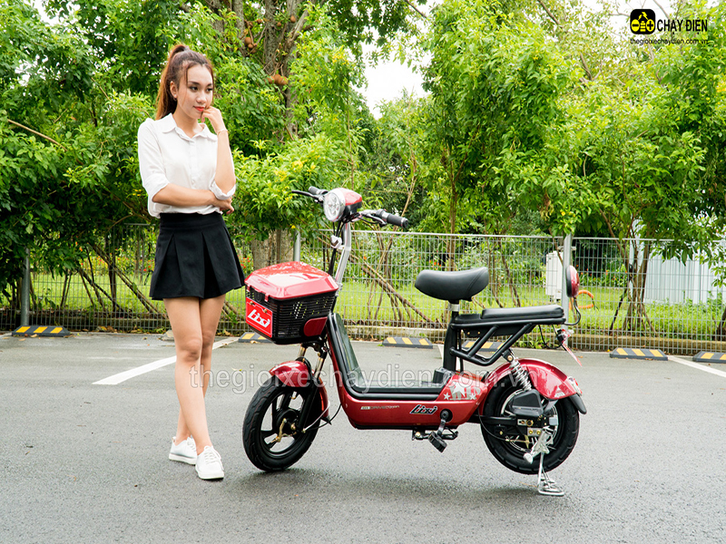 Ắc quy xe đạp điện Lixi Lai Châu
