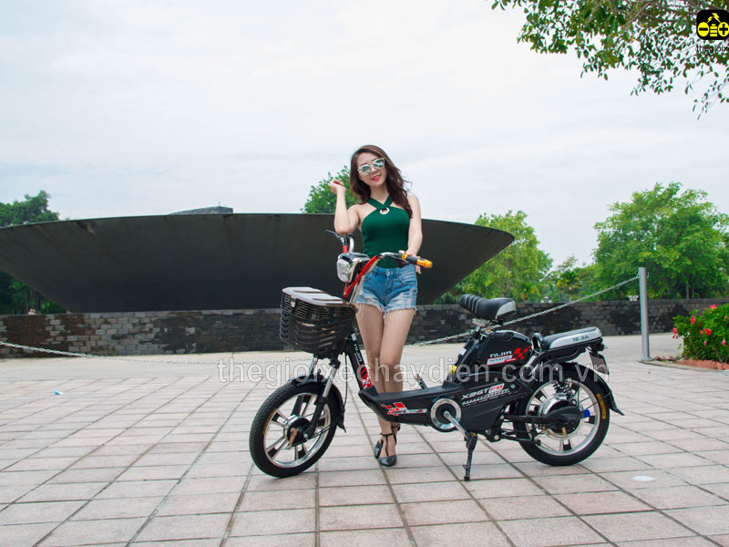 Ắc quy xe đạp điện Nijia Hoàn Kiếm
