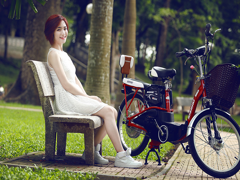 Ắc quy xe đạp điện Nishiki Hà Tĩnh