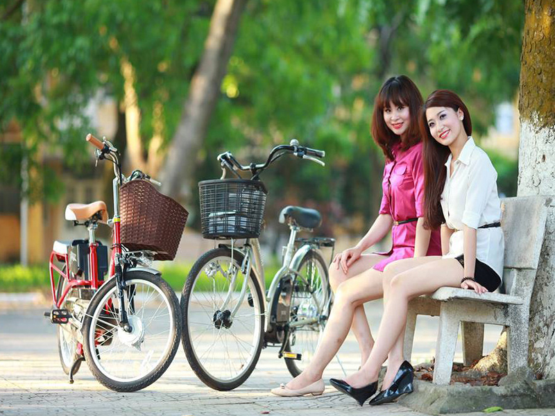 Ắc quy xe đạp điện Nishiki Tân Bình