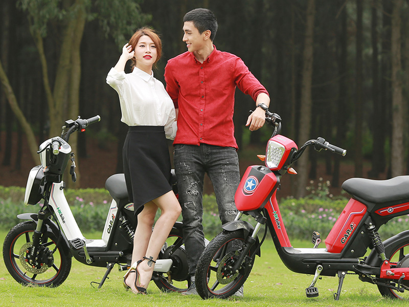 Ắc quy xe đạp điện Pega Bình Chánh