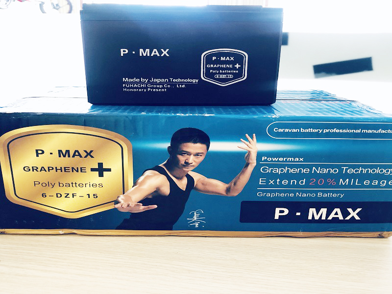 Ắc quy xe đạp điện Pega Cầu Giấy