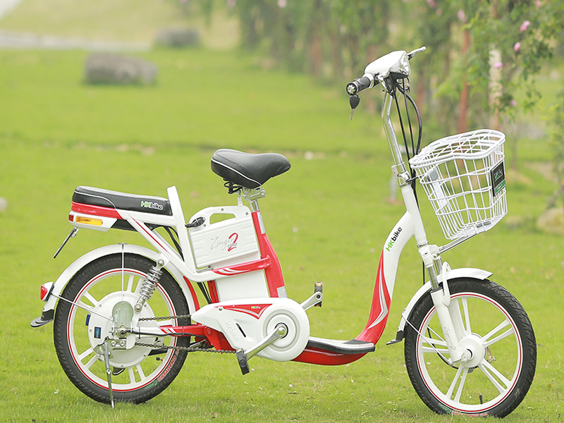 Ắc quy xe đạp điện Pega Hậu Giang