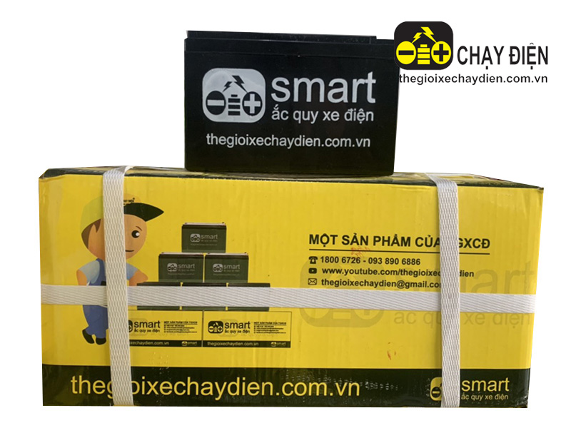 Ắc quy xe đạp điện Smart