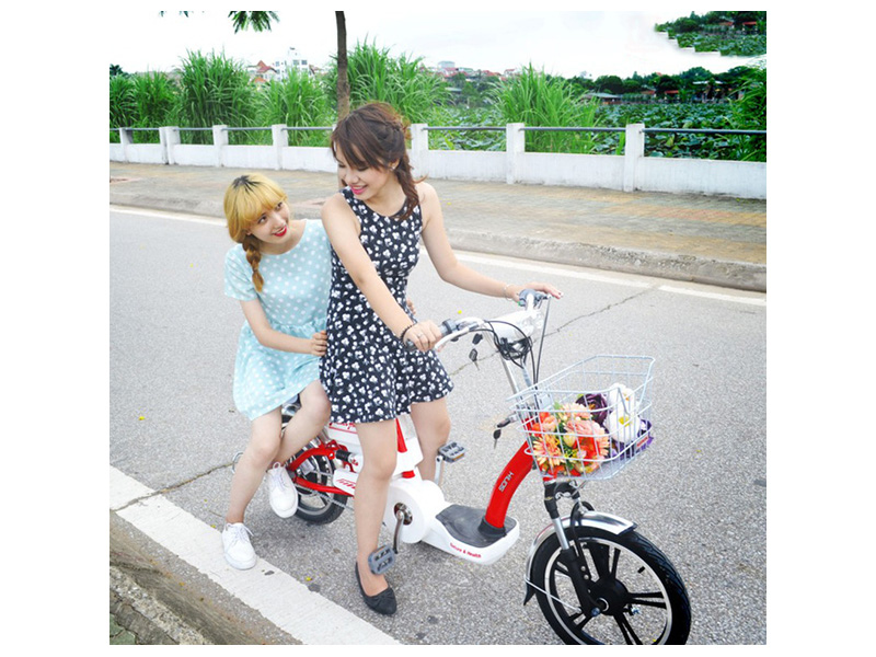 Ắc quy xe đạp điện Sonik Hải Phòng