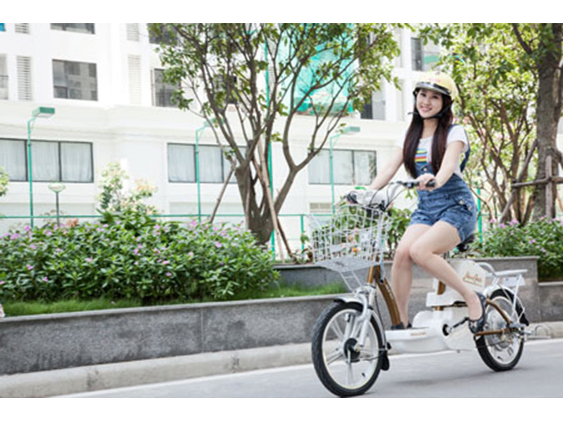 Ắc quy xe đạp điện Sonik Quảng Ninh