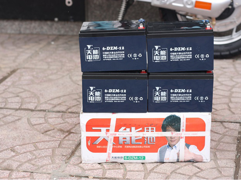 Ắc quy xe đạp điện Terra Motors Cát Tường