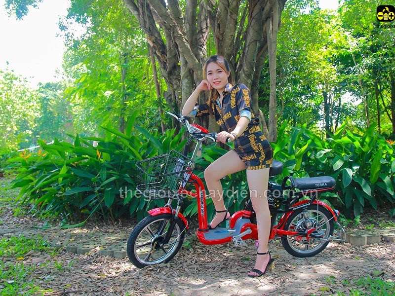 Ắc quy xe đạp điện Terra Motors Điện Biên 