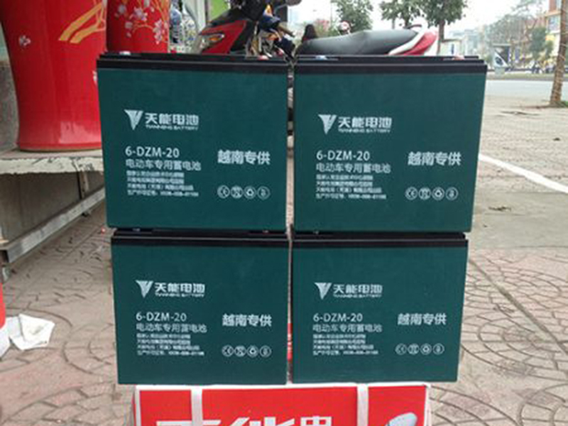Ắc quy xe đạp điện Terra Motors Hai Bà Trưng
