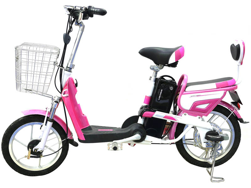 Ắc quy xe đạp điện Yadea Quảng Trị 