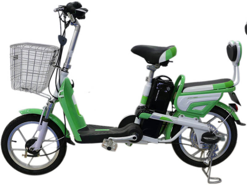 Ắc quy xe đạp điện Yadea Tây Ninh 