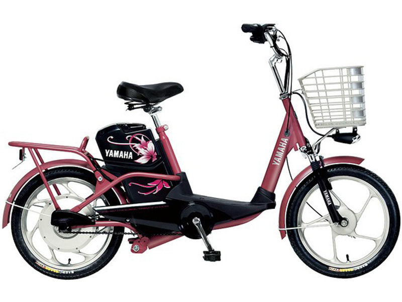 Ắc quy xe đạp điện Yamaha Phú Yên
